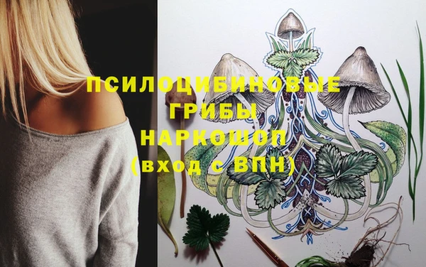 МДПВ Абаза