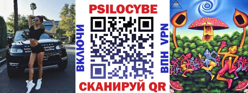 наркота Зеленогорск Псилоцибиновые грибы Psilocybine cubensis