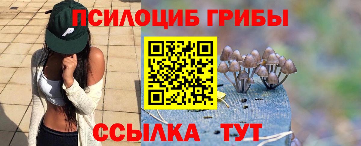 Бутират Зеленогорск